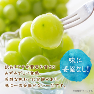 【2026年先行受付】訳あり!生産者直送シャインマスカット 計1kg【味には妥協なし!】【配送不可地域：離島】【1681114】
