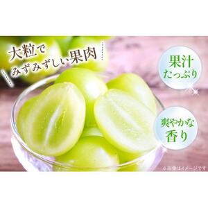 【2026年発送 先行受付】山梨県山梨市産 朝採れ シャインマスカット 2.5kg (3～6房)【配送不可地域：離島・沖縄県】【1691272】