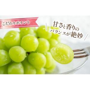 【2026年発送 先行受付】山梨県山梨市産 朝採れ シャインマスカット 2.5kg (3～6房)【配送不可地域：離島・沖縄県】【1691272】