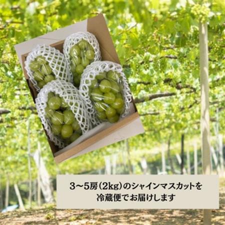 【2026年先行受付】大人気! シャインマスカット秀 2kg(3～5房)【配送不可地域：離島】【1691661】