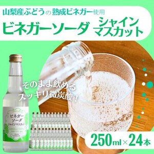 山梨産ぶどう100%の熟成ビネガーの、そのまま飲める「ビネガーソーダシャインマスカット24本セット」【1658353】