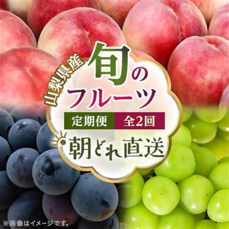 【発送月固定定期便】【2026年先行受付】旬のフルーツ定期便 桃2kg・巨峰/シャイン全2回【配送不可地域：離島・沖縄県】【4076702】