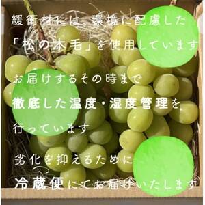 【年内発送】【訳あり】冬に食べられる シャインマスカット 2房 (計1kg以上)山梨産【配送不可地域：離島・沖縄県】【1694112】