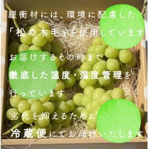 【2026年1月発送】【訳あり】冬に食べられる シャインマスカット 4房 (計2kg以上) 山梨産【配送不可地域：離島・沖縄県】【1694118】