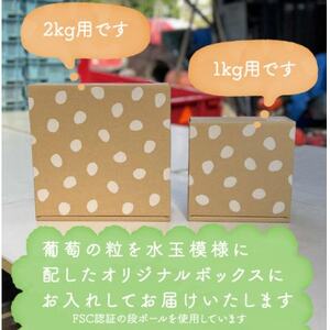 【2026年1月発送】【訳あり】冬に食べられる シャインマスカット 粒 (1kg以上)山梨産【配送不可地域：離島・沖縄県】【1694125】