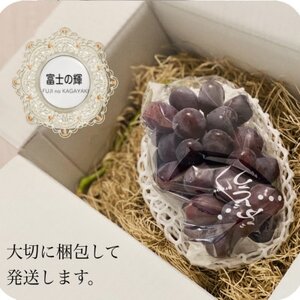 【2026年先行予約】富士の輝 計600g 1房 山梨県産【配送不可地域：離島】【1694814】