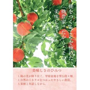 先行受付!【2026年7月発送開始】桃の産地山梨からお届け　ピーチ専科ヤマシタの桃　1kg【配送不可地域：離島】【1707808】