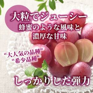 【数量限定】希少!赤い宝石 『クイーンニーナ』 2房 山梨のぶどう クインニーナ【配送不可地域:離島・沖縄県】【1041056】