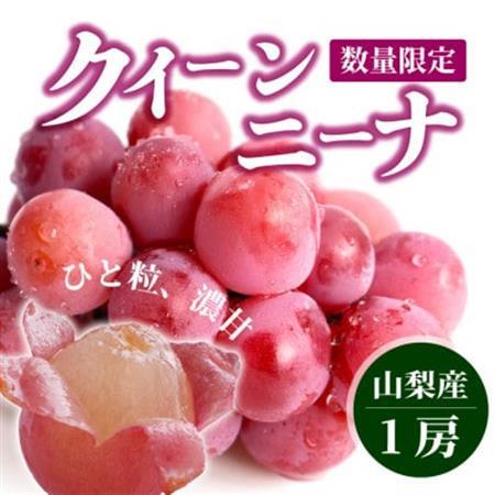 【数量限定】希少品種!『クイーンニーナ 1房』ぶどうの赤い宝石。山梨県産の注目品種でおすすめ【配送不可地域：離島・沖縄県】【1041238】