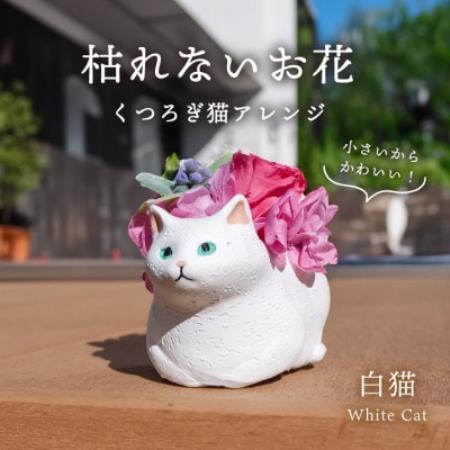 くつろぎ猫(白猫)プリザーブドフラワー ～ネコ好きの方への贈り物に