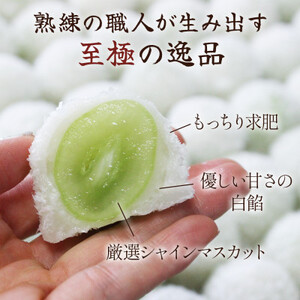 【2026年先行受付】山梨県産シャインマスカットのフルーツ大福「雪みどり」10個入 皇室献上菓匠【配送不可地域：離島】【1041050】