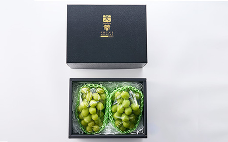 やまなし内藤農園のシャインマスカット2房 ふるさと納税【配送不可地域：離島】【1049128】