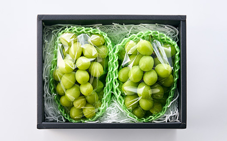 やまなし内藤農園のシャインマスカット2房 ふるさと納税【配送不可地域：離島】【1049128】