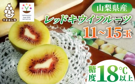 2024年内発送レッドキウイフルーツ化粧箱入り　産地直送約2kg(11～15玉)【配送不可地域：離島】【1108574】