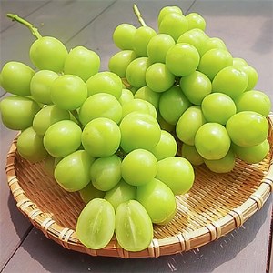 2026年先行販売　銀河農園まきおか シャインマスカット 約2.0kg (3～4房)【配送不可地域：離島】【1111663】