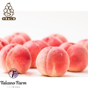 【数量限定】Takano Farmの完熟もも　贈答用　約2kg【配送不可地域：離島】【1115747】