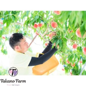 【数量限定】Takano Farmの完熟もも　贈答用　約2kg【配送不可地域：離島】【1115747】