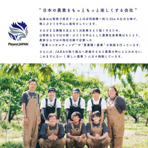 2026年先行受付　山梨県産 桃 白桃系 1kg以上(3～5玉) フルーツ王国・山梨県から産地直送【配送不可地域：離島・沖縄県】【1137261】