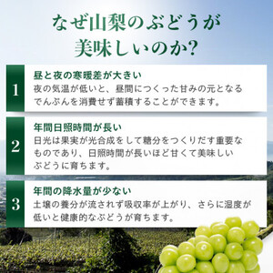 【2025年先行受付】【農林水産大臣賞受賞!!】シャインマスカット 2房 1kg以上【配送不可地域：離島】【1143545】