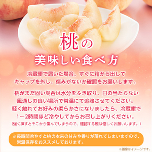 【2026年発送 先行受付】山梨厳選旬の桃約2kg【配送不可地域：離島】【1220381】