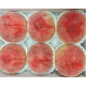 2026年発送【旬の桃 約2kg 5～7玉】 坂の上の桃 硬くて甘い! 食べ応え抜群!【配送不可地域：離島】【1264617】