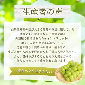 2026年発送 山梨県産 シャインマスカット 約1kg(2～3房) 山梨が誇る人気果物 熟練農家厳選【配送不可地域：離島・沖縄県】【1272524】
