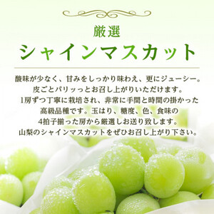 2026年発送 山梨県産 シャインマスカット 約1kg(2～3房) 山梨が誇る人気果物 熟練農家厳選【配送不可地域：離島・沖縄県】【1272524】