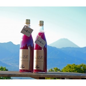 ぶどうジュース 山賊ぶどう 巨峰 100% ストレートジュース 720ml 2本 セット【1277598】
