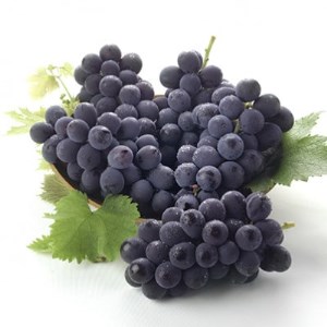 ぶどうジュース 山賊ぶどう 巨峰 100% ストレートジュース 720ml 2本 セット【1277598】