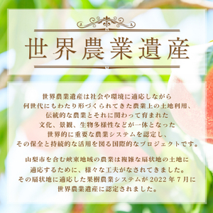 採れたて新鮮!!完熟桃白桃系1kg以上(3～5玉) ふるさと納税【配送不可地域：離島・沖縄県】【1277679】