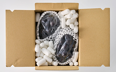 【2026年先行受付】厳選　池田青果の巨峰　2房 　1キロ　ふるさと納税【配送不可地域：離島・沖縄県】【1280519】