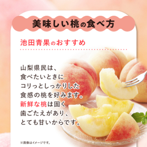 【2026年 先行受付】 桃 約2kg (5玉~8玉) 厳選 ! 池田青果の もも【配送不可地域：離島・沖縄県】【1280520】