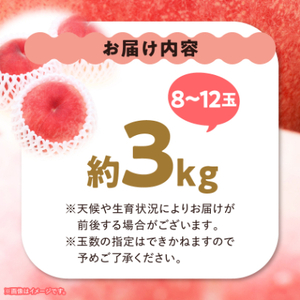 【2026年 先行受付】 桃 約3kg (8玉~12玉) 厳選 ! 池田青果の もも【配送不可地域:離島・沖縄県】【1280521】