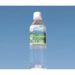 富士山のバナジウム天然水　500ml×24本入り　1箱【1296914】