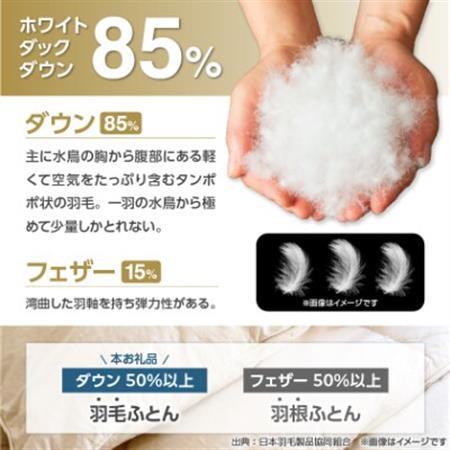 甲州羽毛ふとん洗える羽毛肌掛けふとん(シングル)16【1297009】 甲州羽毛ふとん洗える羽毛肌掛けふとん(シングル)16【1297009】