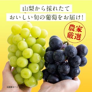 シャインマスカット 巨峰 各2房 旬の葡萄セット2kg (種なし