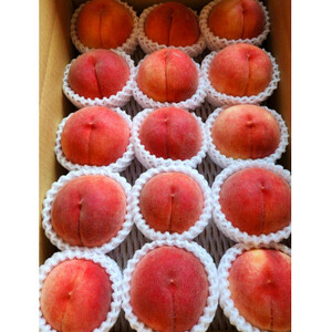 【2026年先行受付】農家直送の桃　5kg(18～12個)【配送不可地域：離島】【1322142】