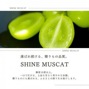 【2026年発送 先行受付】フルーツ王国山梨県産シャインマスカット 3房～4房 2.2kg以上【配送不可地域：離島】【1362278】