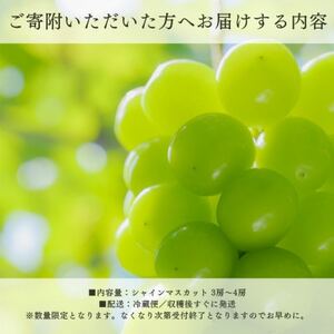【2026年発送 先行受付】フルーツ王国山梨県産シャインマスカット 3房～4房 2.2kg以上【配送不可地域：離島】【1362278】