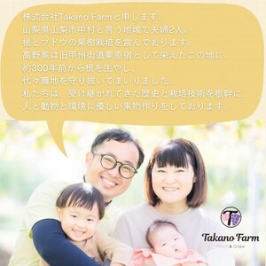 【2026年先行予約】シャインマスカット 約1.5kg 山梨市の自社農園産直!完熟収穫!【数量限定】【配送不可地域：離島】【1371863】