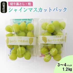 【2025年先行受付】【訳あり】池田青果のパックシャインマスカット 1.2kg(3～4パック)【配送不可地域：離島】【1376589】