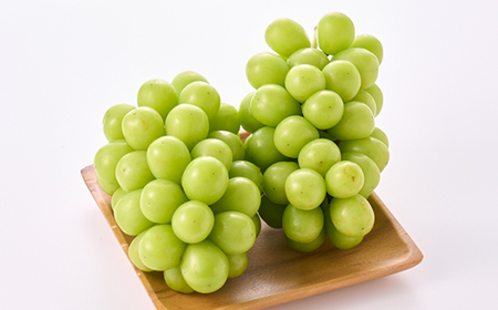 【2026年発送　先行受付】やみつきシャインマスカット 1.2kg (2～3房)【配送不可地域：離島】【1304362】