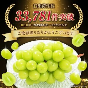 2026年度先行予約 フルーツ王国山梨 シャインマスカット 2房 (1.2kg以上) プレミアム【配送不可地域：離島】【1105033】