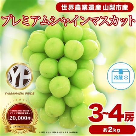 2026年度先行予約 フルーツ王国山梨産 厳選 シャインマスカット 3～4房 (約2kg)_甘いシャインマスカット あまいシャインマスカット 美味しいシャインマスカット おいしいシャインマスカット 人気のシャインマスカット 瑞々しいシャインマスカット _【配送不可地域：離島】【1108670】