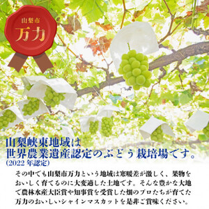 【2026年発送 先行受付】生産者直送『万力』極上シャインマスカット2房　計1kg～1.2kg程度【配送不可地域：離島】【1137178】