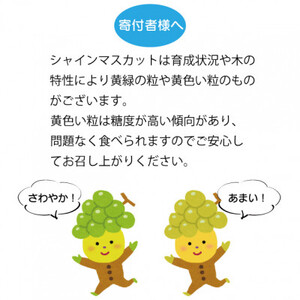 【2026年発送 先行受付】生産者直送『万力』極上シャインマスカット2房　計1kg～1.2kg程度【配送不可地域：離島】【1137178】