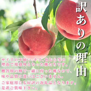 2025年先行受付【訳あり】桃 2kg 以上 (5～8玉) フルーツ王国・山梨県から産地直送【配送不可地域：離島・沖縄県】【1137263】