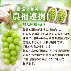 【2026年発送 先行受付】農福連携 シャインマスカット2房(合計1kg程度)【配送不可地域：離島】【1271031】