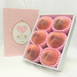 《2026年発送　先行受付》桃 『白桃系』 約2kg 5～8玉 朝もぎ直送! 選び抜かれた桃【配送不可地域：離島】【1275890】