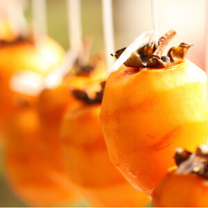 【冬季限定】半熟枯露柿「蜜六花 みつろっか」6～8個入　山梨産ドライフルーツ干し柿【1028349】